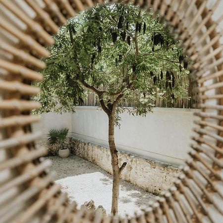 Casa Chimi Tulum Bed and Breakfast Exterior foto